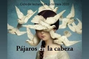 Lee más sobre el artículo Pájaros en la cabeza