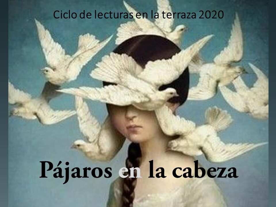 imagen de la lectura pájaros en la cabeza