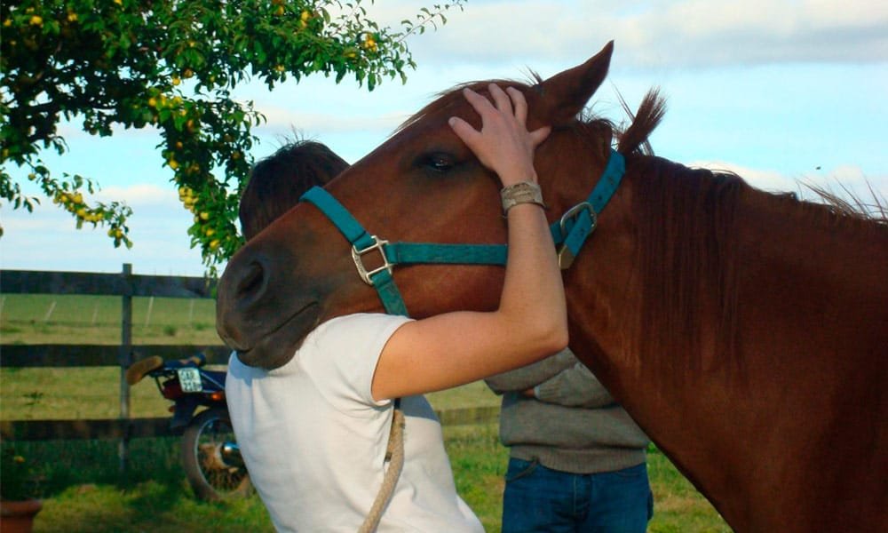 estudiantes del taller Historias de Cuentos y Fogones interactuando con caballos